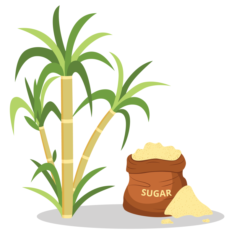 Sugarcane decaf proces