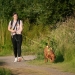 Dogtrailing in Grembergen