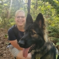 Dogtrailing in het Waasland
