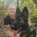 Dogtrailing in het Waasland