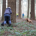 mentale uitdaging hond