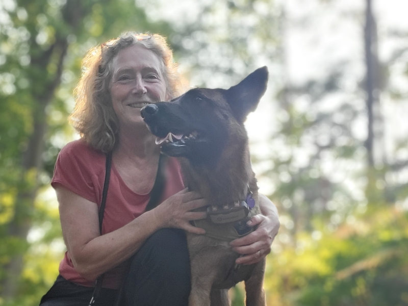 overprikkelde honden Dogtrailing in het Waasland