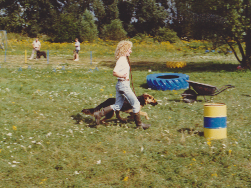 speurennaarbalans speuren met je hond Vlaanderen