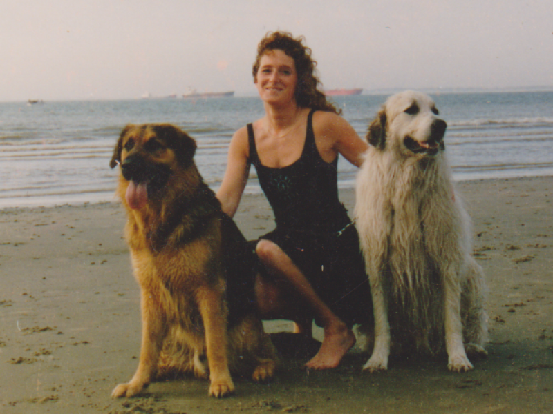 speurenvooronrustigehonden speuren met je hond Vlaanderen