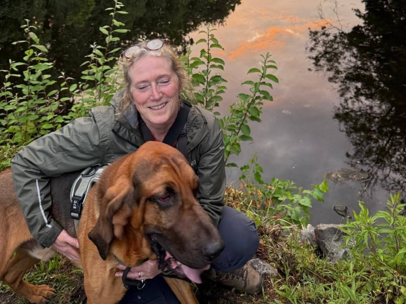 gedragtrainingvooronrustigehonden gedragstrainingvoorangstigehonden