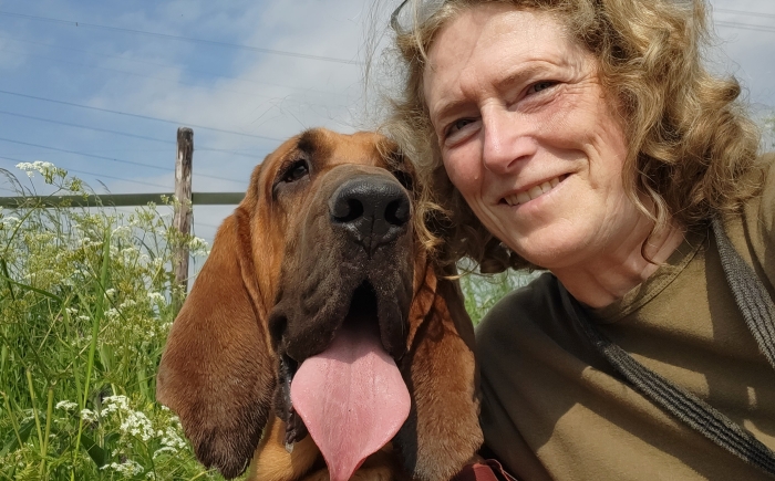 Rescue Dog