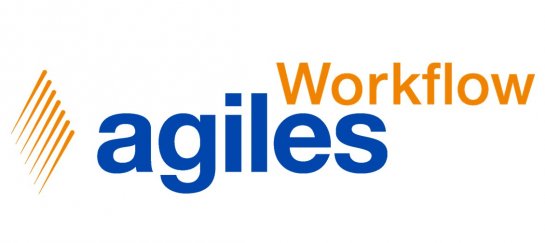 dia1-1 agiles workflow