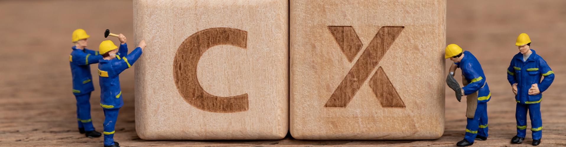 Customer Experience Masterclass