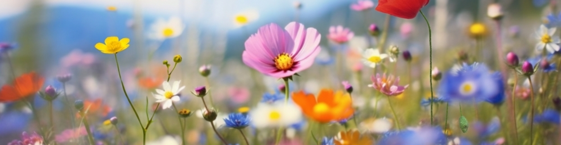 bloeiende bloemen