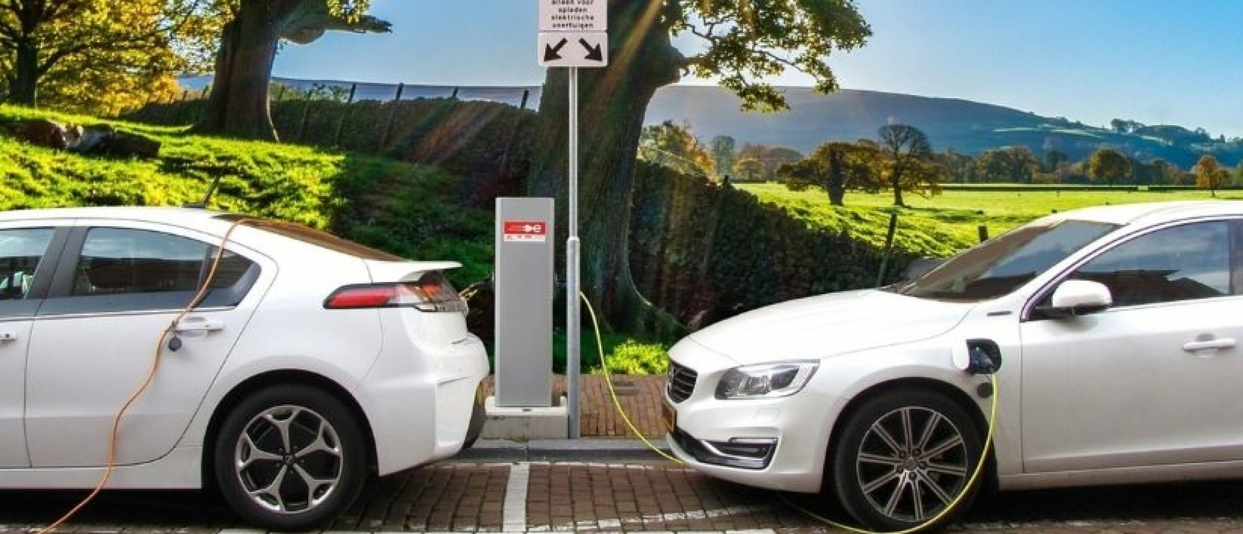 Subsidie voor elektrische bedrijfsauto's