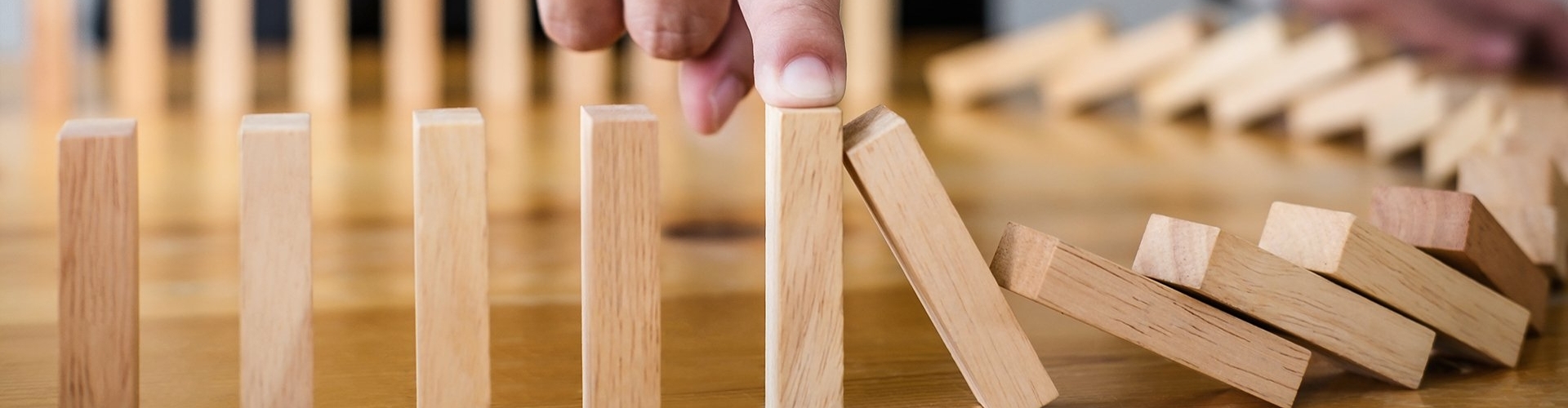 Advisering in elke discipline van ondernemen