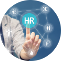 Management en organisatie advisering