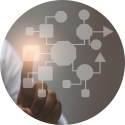 Management en organisatie | Ondernemersadviseurs