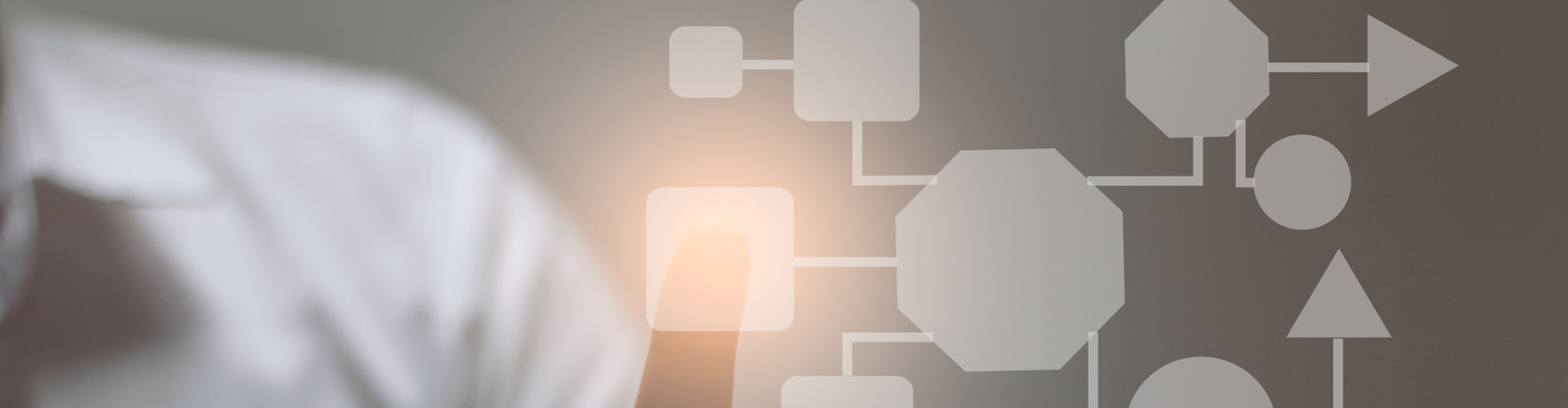 Advies, begeleiding en interim in management, HR en organisatie