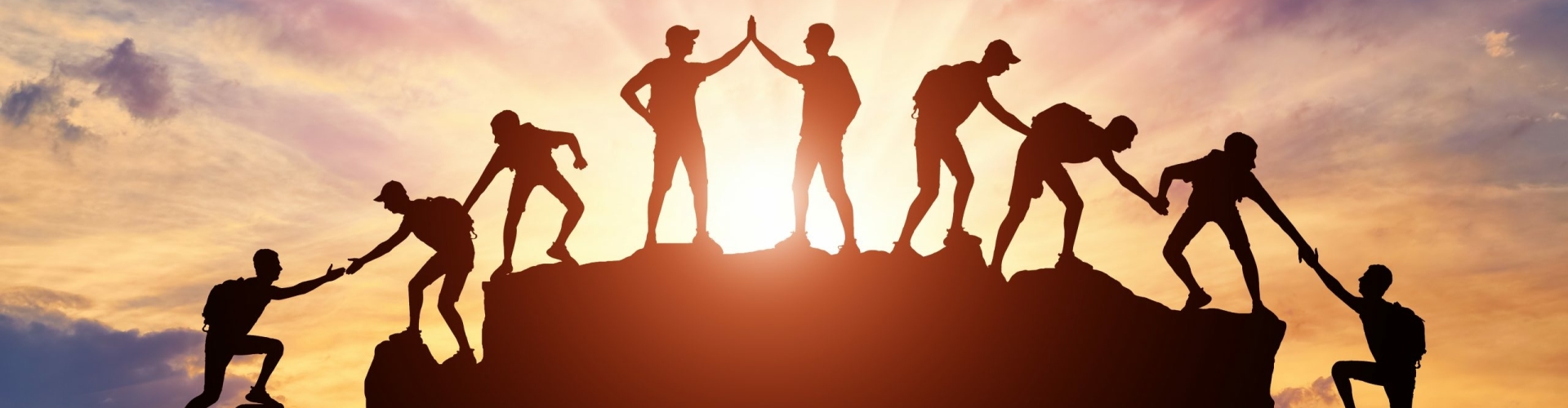 Advisering in elke discipline van ondernemen