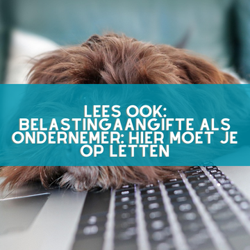 belastingaangifte-als-ondernemer belastingaangifte als ondernemer