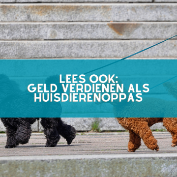 geld-verdienen-als-huisdierenoppas geld verdienen als huisdierenoppas