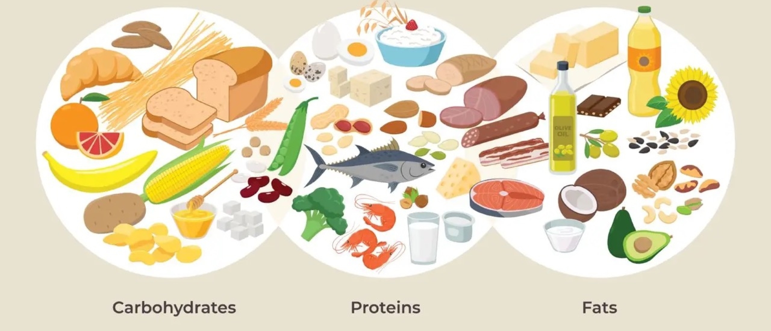 Alles wat je moet weten over macronutriënten: de bouwstenen van een gezond dieet