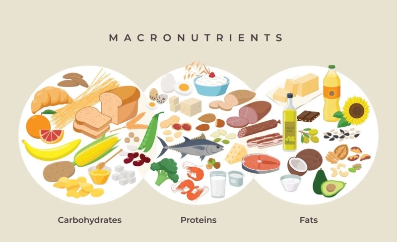macro-nutrients-blog-groot
