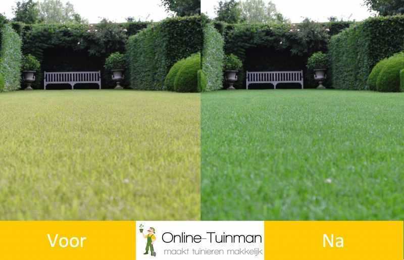 Verlichting transmissie Wakker worden Nieuwe graszoden onderhouden na aanleg? Zo creëer je een groen gazon!