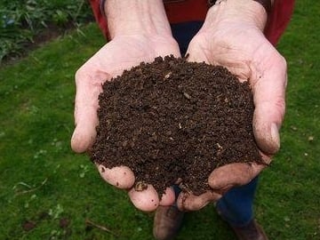 ph waarde bodem beinvloeden