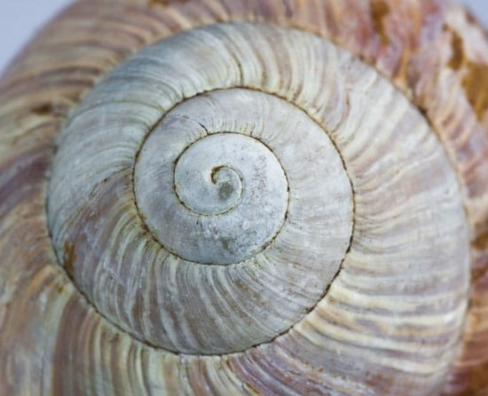 Behandeling van eczeem door vettende crèmes