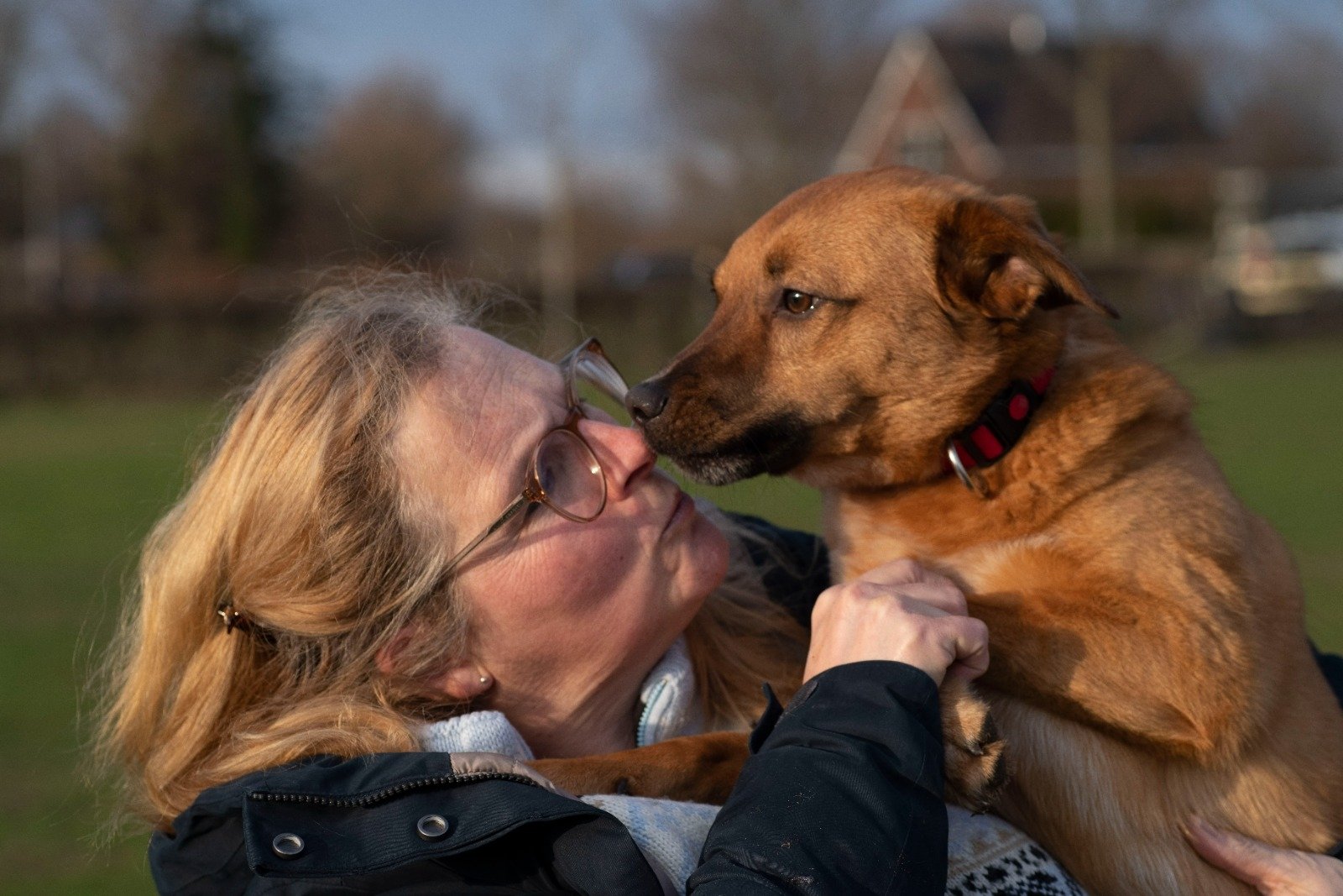 Mijn hond kan alleen blijven