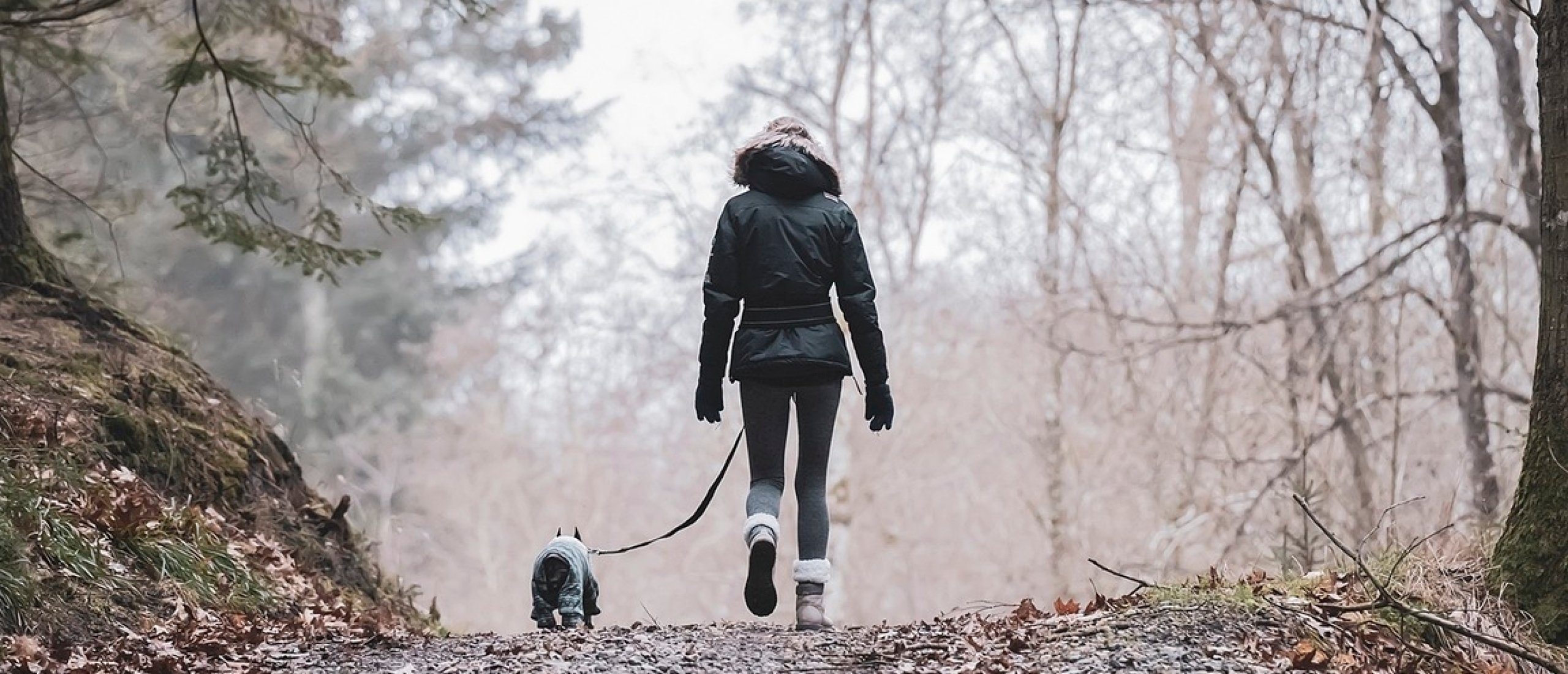 je hond minder laten blaffen