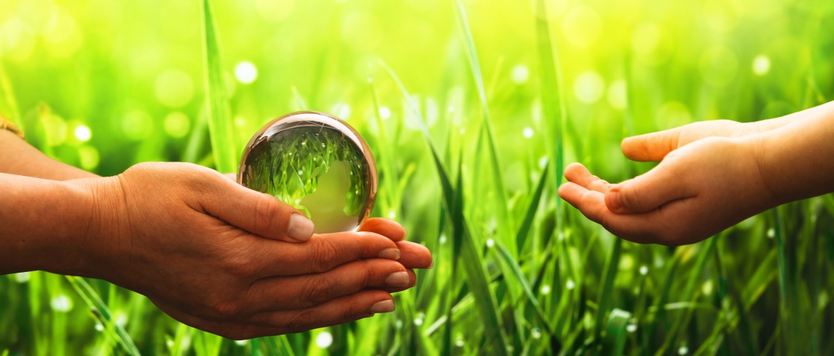 ISO 14001: van implementatie tot certificatie