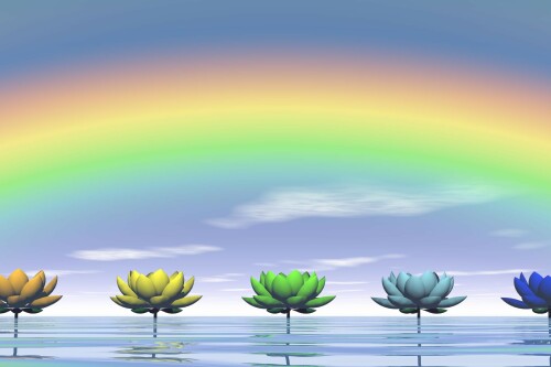 online thuisstudie kleurentherapie