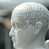thuisstudie gelaatskunde online cursus gelaatskunde
