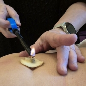 moxa thuisstudie