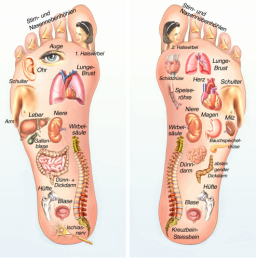 opleiding voetreflexoloog