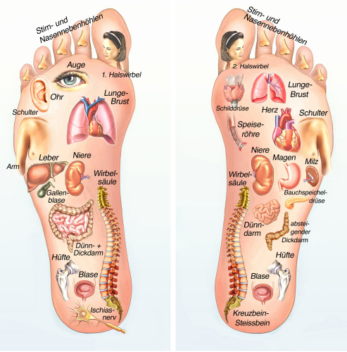 foot reflexology classes online