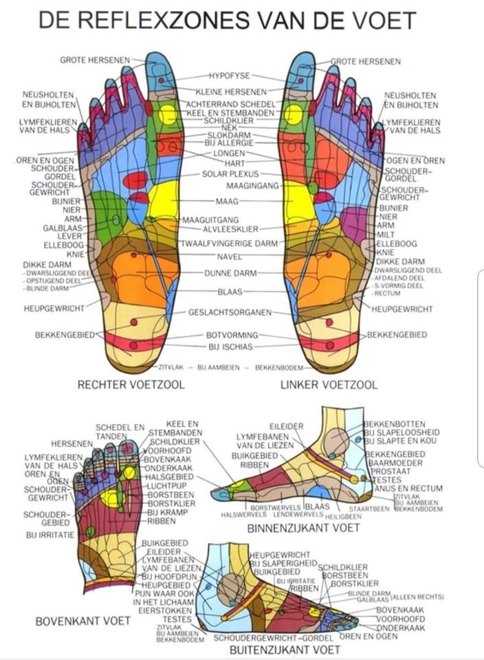 Online foot reflexology course