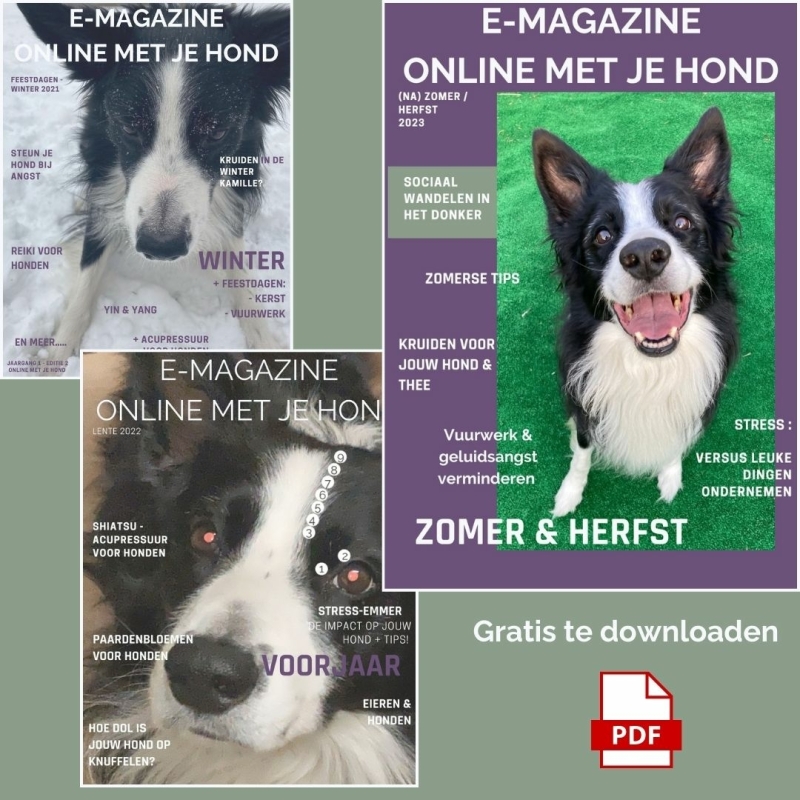 Download gratis e-magazine - tijdschrift voor honden