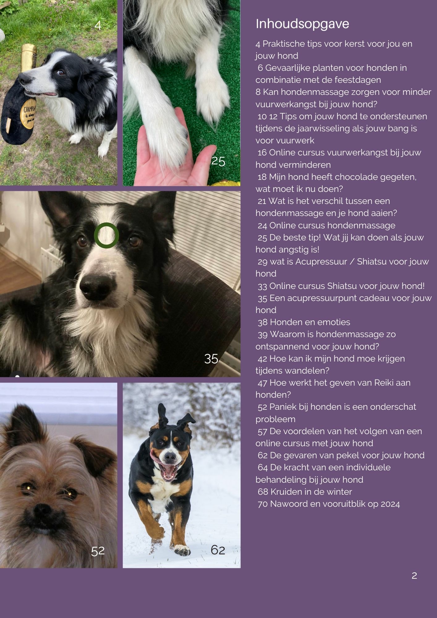 Inhoudsopgave gratis online e-magazine van Online met je hond met tips voor honden