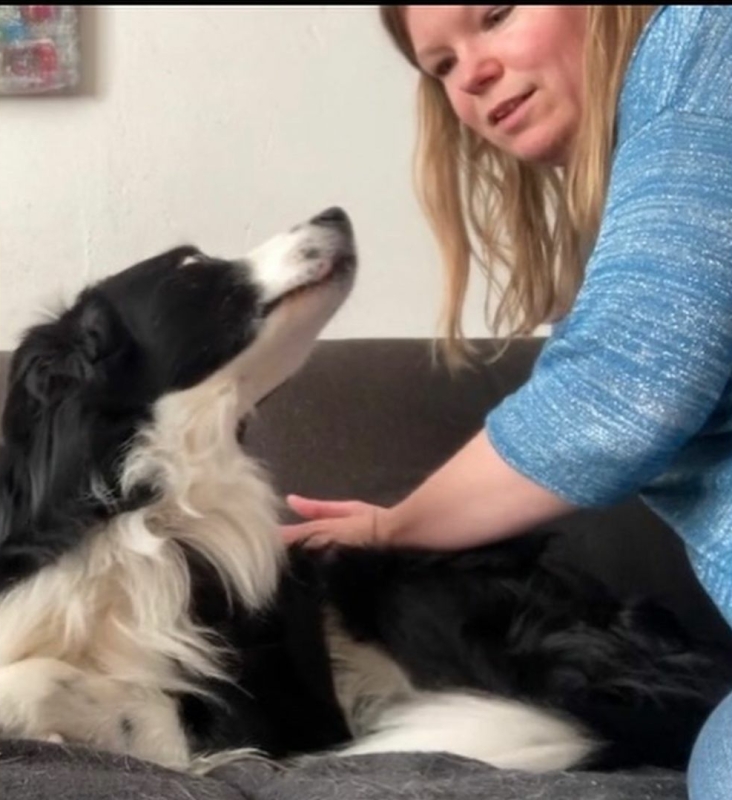 Hondenmassage uit liefde voor je hond