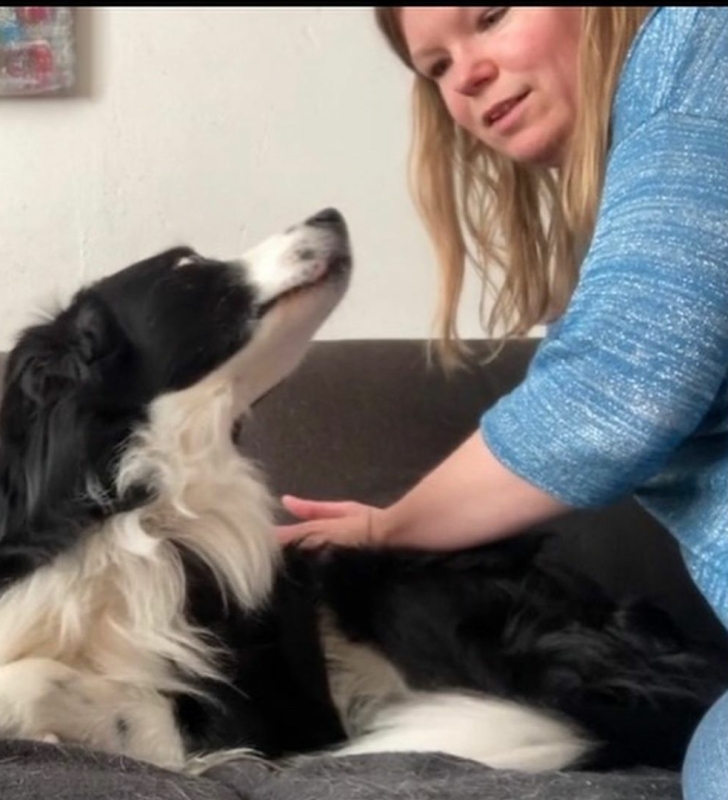 Als jij leert hoe jij jouw eigen hond een hondenmassage kan geven kan jij jouw hond laten ontspannen