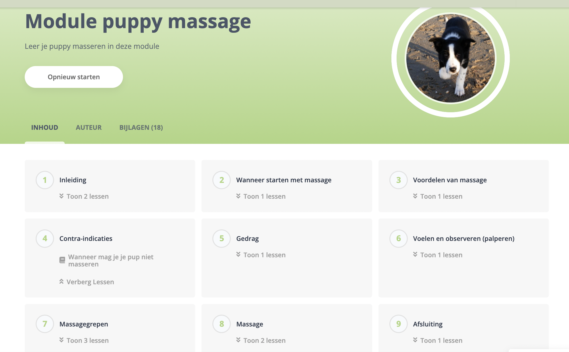Overzicht online cursus puppy massage