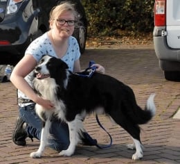 Online cursussen voor jouw hond bij Online met je hond Sharon en Fenne