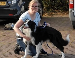 Online met je hond Sharon en Fenne voor online hondentrainingen