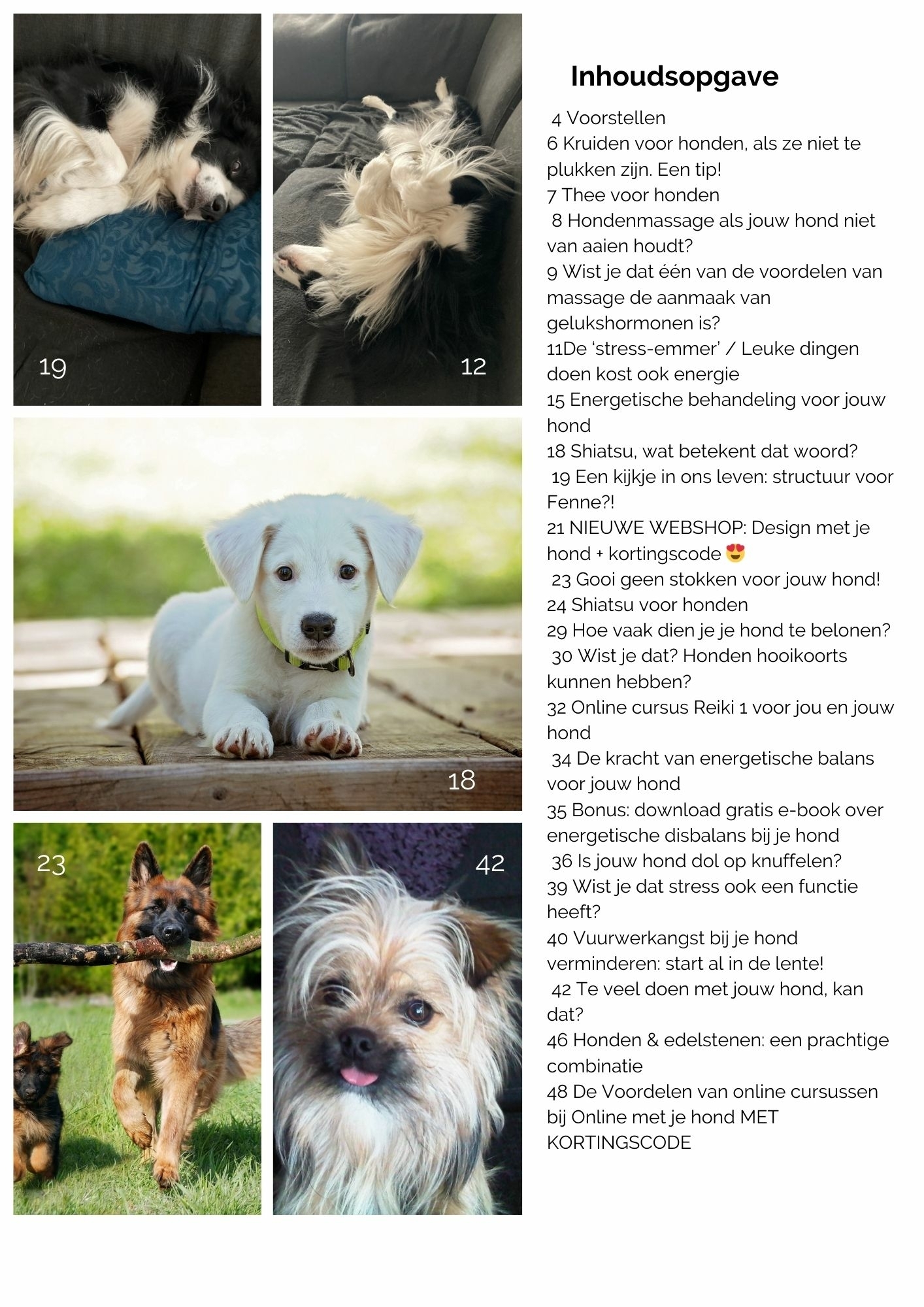 Tips voor honden in het gratis tijdschrift van Online met je hond