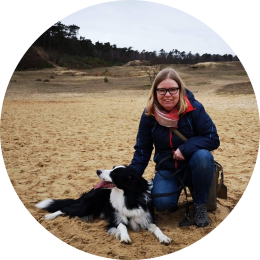 Hond eigenaar genieten bos border collie ontspanning