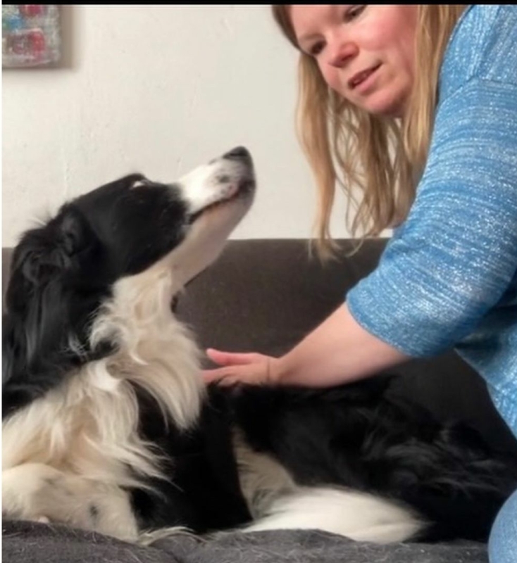Hondenmassage zorgt voor een hechtere band tussen hond en eigenaar
