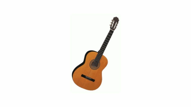gitaar-voor-beginners