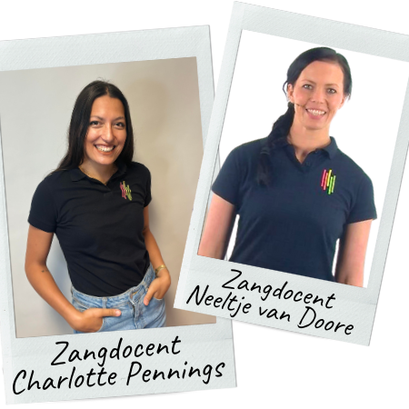 zangles-pakket-apeldoorn