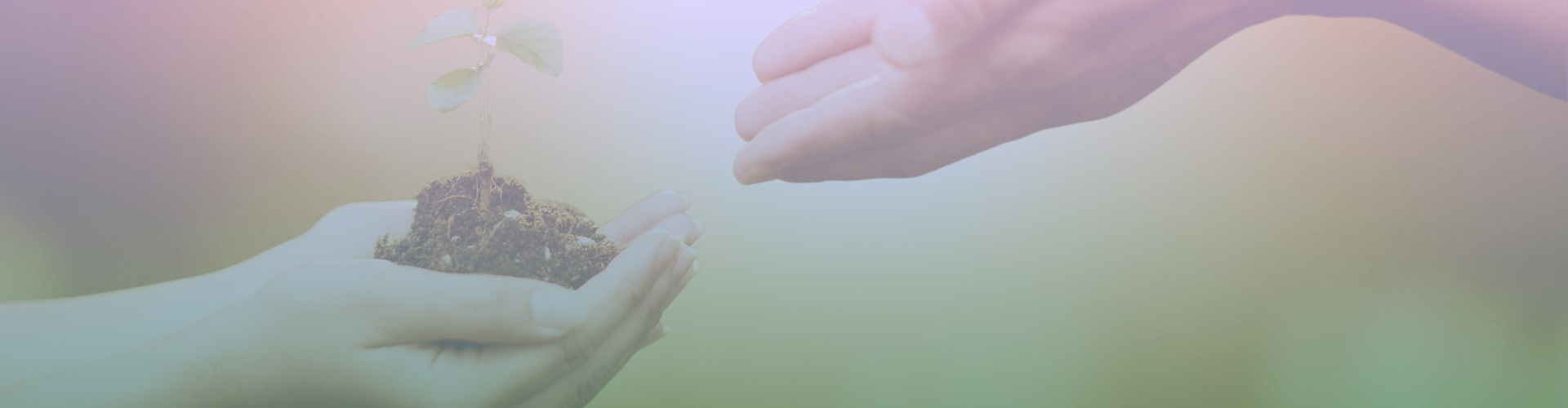 Professionele begeleiding bij ouderburn-out Professionele begeleiding bij parentale burn-out en overbelasting