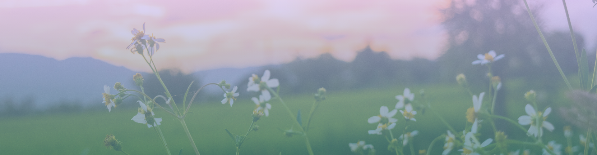 Herken de signalen van overbelasting en ouderburnout Ontdek welke klachten vaak passen bij overbelasting of ouderburnout en doe een eerste zelftest.