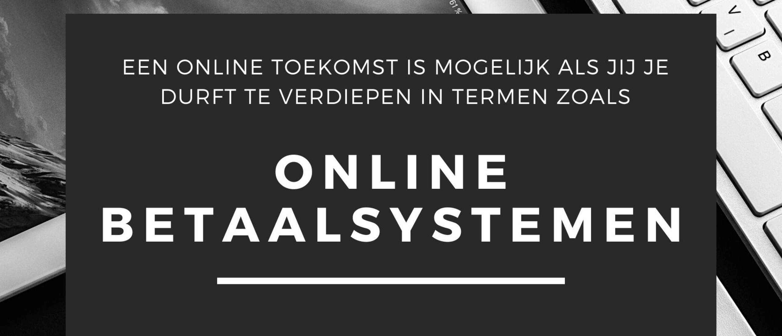 Online Betaalsystemen Online Betaalsystemen